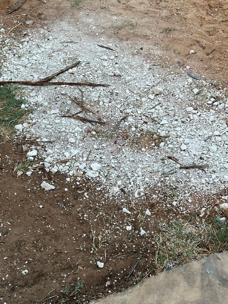 WhatsApp Image 2023-02-25 at 10.49.03 AM (2).jpeg